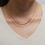 Layered Snake and Simple Chain Necklace