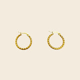 Twisted Rope Hoops