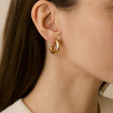 Chubby Hoops Studs