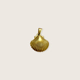 Chunky Seashell