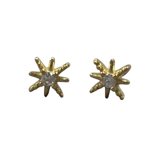 Star Snowflake studs