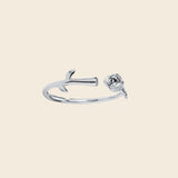 The Rose Ring