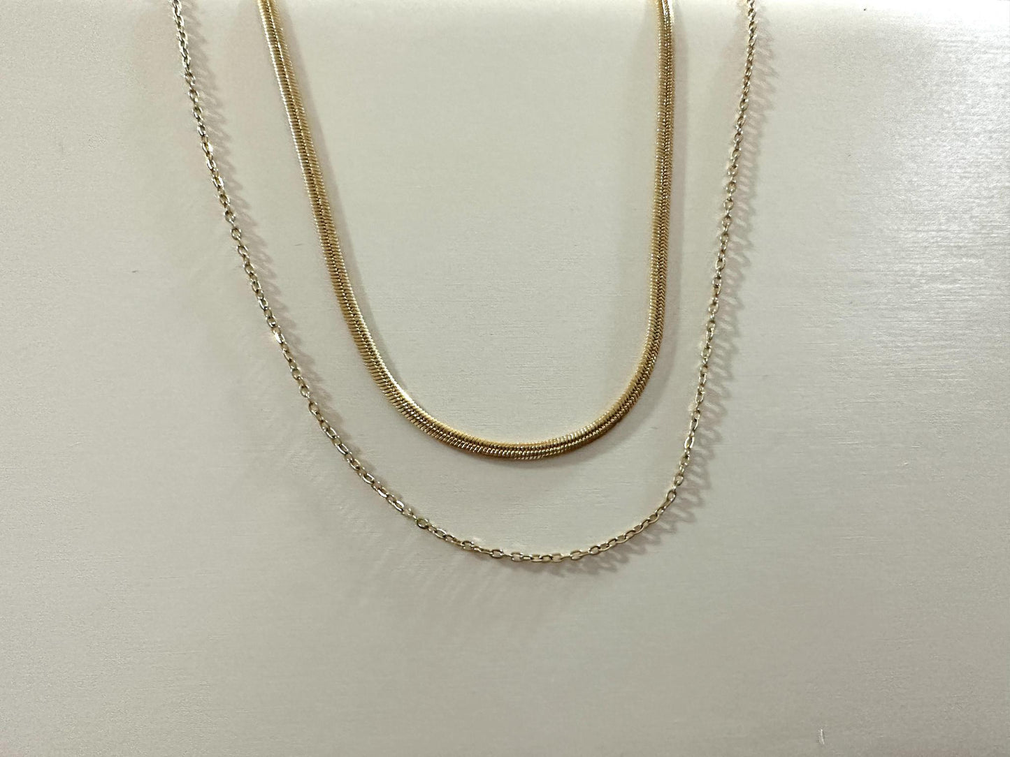 Layered Snake and Simple Chain Necklace