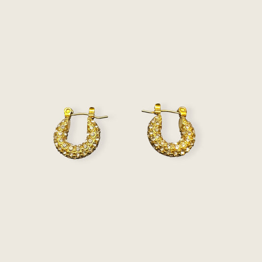 Dainty Shimmery Hoops