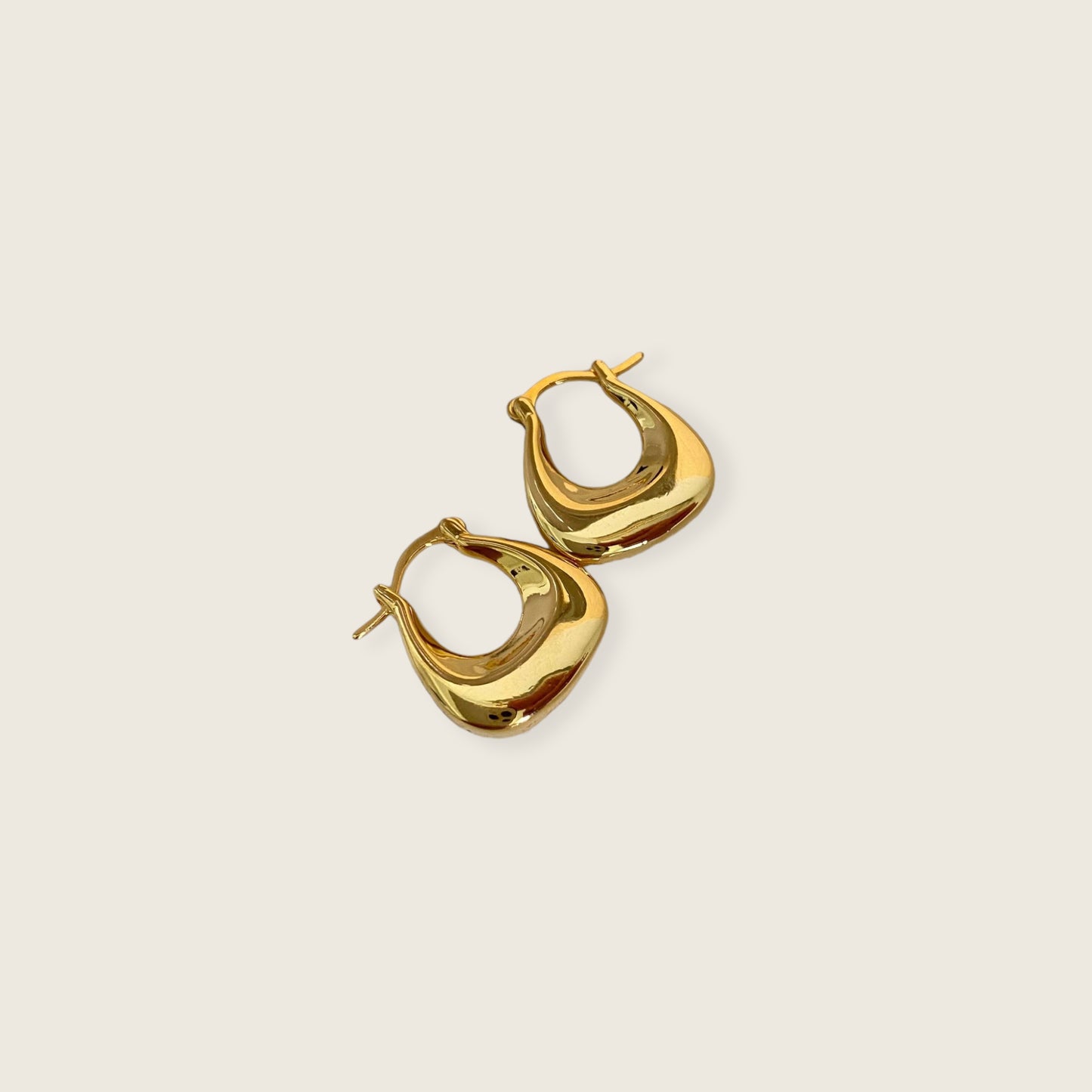 Bag Hoop Earrings