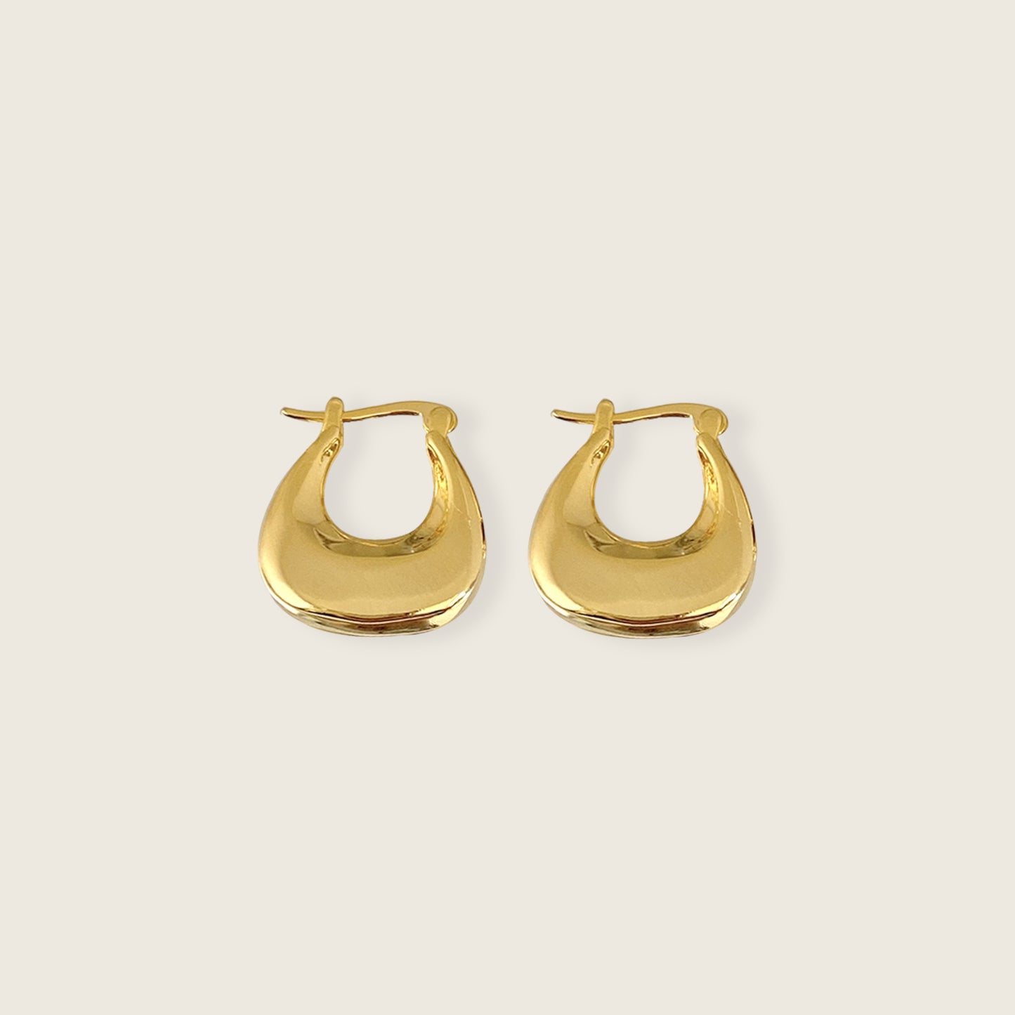 Bag Hoop Earrings